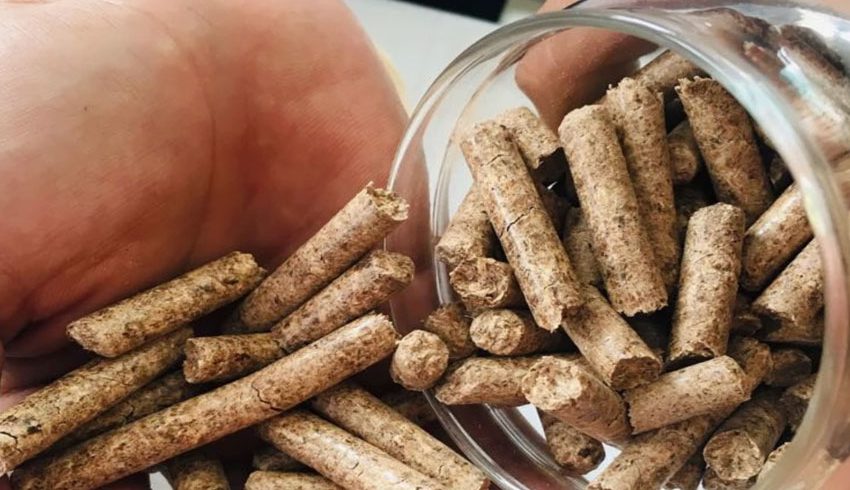 Inspect Wood Pellet Sample