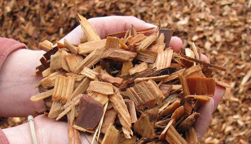 Wood Chips